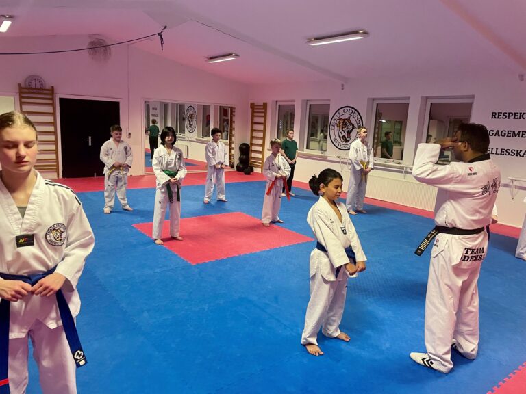 Team Odense taekwondo børnetræning Murad